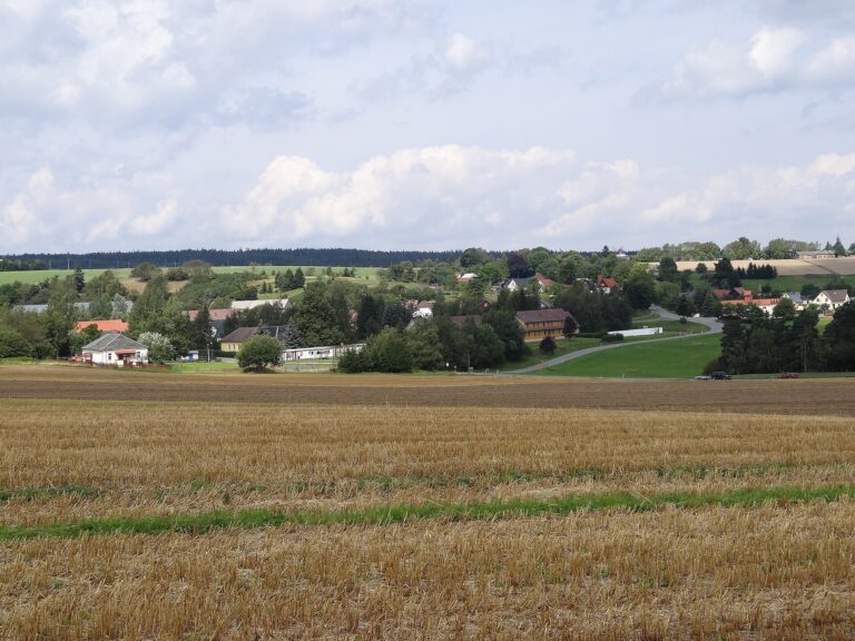 Ergebnisse Neujahrslauf 2026